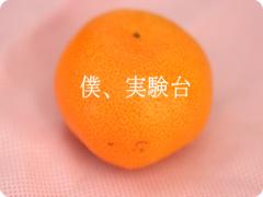 隣の席のアイツに恋してるから。究極の愛されGirlになる5つのプチプラ神コスメ♡