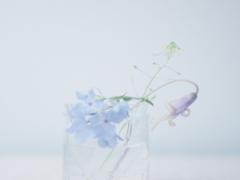 彼の両親ウケが良いヘアって？ふんわりヘアorクールビューティーから読み解くヘアカタログ