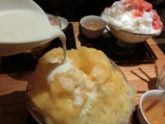 もふもふ、なでなで、ココロをほぐす。いろんな'ふわふわ'を愛でる、癒しおでかけプ