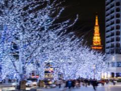 "触れて動かして持ち帰る"イルミネーション！六本木ヒルズで特別なクリスマスを♡