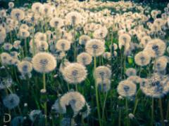 134の悩みに答えます♡Aujuaのダメージケアで素髪の綺麗な日本女性に