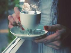 風味絶佳な紅茶を求めて。ふわっと良い香りに包まれながら巡る全国ティー物語