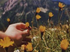 秋ネイルはゴールドでぐんと大人っぽくがトレンド。2016年A/Wネイル13選