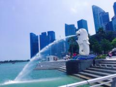 マーライオンだけだと思ってない？本当は素晴らしいシンガポールの魅力ガイド