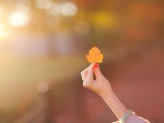 私に合う色はどれ？秋ネイル代表カーキ＆マスタード色をブランド別に徹底比較