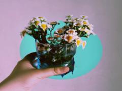 女の子は結局お花が好き♡参考にしたい4つのフラワーネイルデザイン20選