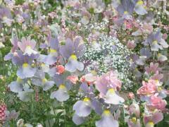 意外とリーズナブルなんです、一輪挿しからはじめる憧れの花のある暮らし