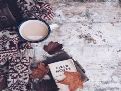 京都・金沢・青森で紅葉を見に行きませんか？秋の一人旅おすすめスポットまとめ