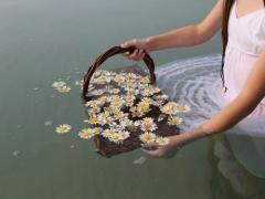 秋の景色に桜を咲かせたいの。彼に好きになってもらうために実践したい、3つのこと