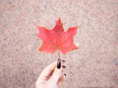 まだまだ日差しは強いから。igで見つけた♡ひんやりandくすみ寒色カラーに指先を染めて