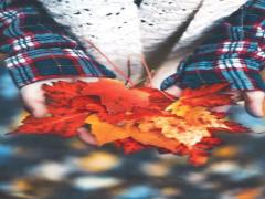 小さい秋、見つけた。こっくり秋モードな'マットネイル'デザインカタログ