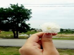 みんなと同じがいやだから。誰もやらないようなネイル”お魚編”12選