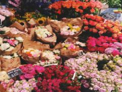 あなたのスキ♡をメイクにしてみない？好きな花から連想した5つのプチプラコスメ