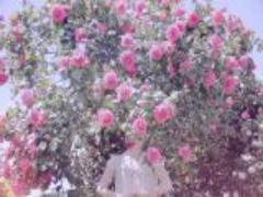 ねぇねぇ、ちょい足しで可愛さ100倍♡オトコが悶える7つのイチコロワード＋モテテク