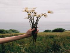 年中人気デザインを秋仕様に。ダスティカラー×花柄ネイルカタログ