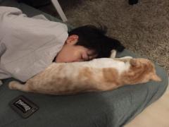 今日はしょんぼりのご様子。元気のない彼氏を励ます天使彼女の2つの要素