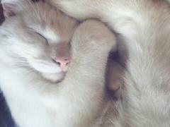 1日たった5分で劇的効果！「階段ダイエット」でスッキリ下半身を手に入れよう◎