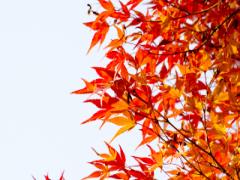 秋に恋人をつかまえるための3つのヒント