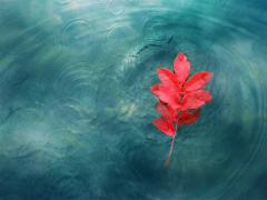 秋に向けて磨くべきはこのパーツ♡きゅっと締まった3つのクビの作り方