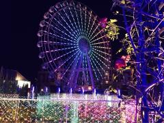 日本一の輝きがここに♡ハウステンボスのイルミネーション「光の王国」