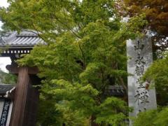 「秋はもみじの永観堂」。1200年も前から伝わる京都屈指の紅葉名所に迫る