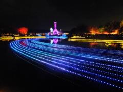 始まったばかりの今が穴場。全国1位の'なばなの里'圧巻イルミネーション