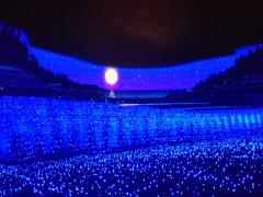 光が揺れ動くその空間はまるで異世界。感動必至のプロジェクションマッピング5選