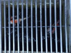 心安らぐ観光エリア。水の都・岐阜県「郡上八幡」が見せる情緒溢れる景色