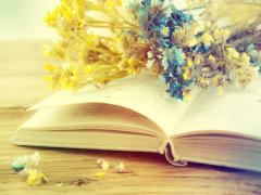秋の夜長の過ごし方♡MERYエディターおすすめの本で「読書の秋」を満喫！