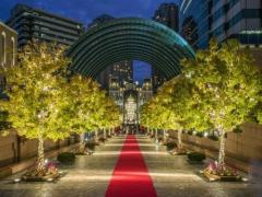 世界最大級のシャンデリアがきらめく。恵比寿ガーデンプレイスのイルミネーション