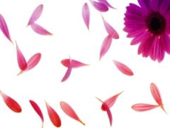 「恋愛最強ラッキー風水占い」 １０月１６日～１０月３１日