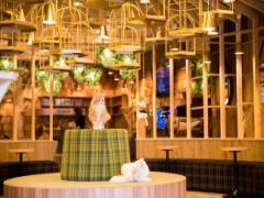 猫カフェの概念を覆す、おしゃれすぎる「MoCHA」秋葉原にオープン！