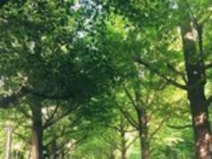草食系男子をトリコにする♡アプローチを成功させる美への心がけ１・２・３
