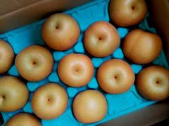 梨がダイエットに効果的！？隠された秘密5つ アレンジレシピも