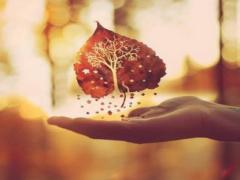 芸術の秋はネイルから始めるのです。スモーキーカラー+個性的ネイル13選♡