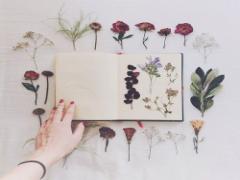 ナチュラル系おしゃれinstagrammerに学ぶ。〜こだわりのInstagramに仕上げる方法〜
