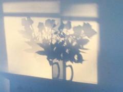 花の力で変身させて。”女性らしく、上品”そんな人に近づくフラワーネイル