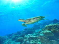 オーストラリアを満喫したいあなたへ♡観光で外せないおすすめスポット10選