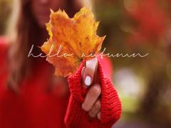 眩しいくらい黄金色に輝く。都内の紅葉といえば「明治神宮外苑のいちょう並木」