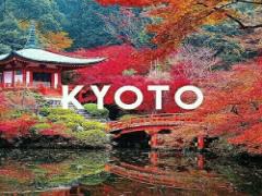 紅葉や抹茶も楽しみつつ訪れたい！「ちょっぴりツウ」な京都を楽しめるお店3選