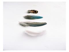 指先からふわりと色んな世界へ。フェザーネイルで秋のお出かけを楽しみませんか？