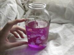 日常の疲れを水族館で癒しませんか？都心で味わえる非日常空間でリフレッシュ