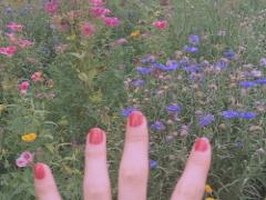 お洒落格上げの、あと1色。大人のシンプル×差し色ネイルカタログ