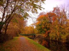 【関東】今日はアクティブに食を楽しもう♪秋の体験型お出かけスポット