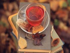 小さい秋、みぃつけた♩指先からほっこり温まる秋色ショートネイルカタログ