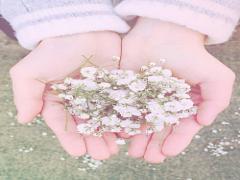 花言葉は”幸福”。カスミソウでつくるワンランク上のお呼ばれヘア