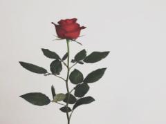 そのままで大丈夫？30代過ぎて「モテる女」と「モテない女」の決定的な差