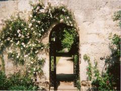 冷たい指先を華やかに。秋冬ネイルに咲いた5つのフワラーデザイン