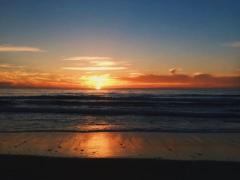母なる太陽は偉大なのよ。1日＋15分の日光浴で毎日がハッピーになるお話