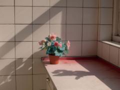 暮らしの中に“季節”を感じて。秋冬のお部屋に飾りたいオシャレなお花4選